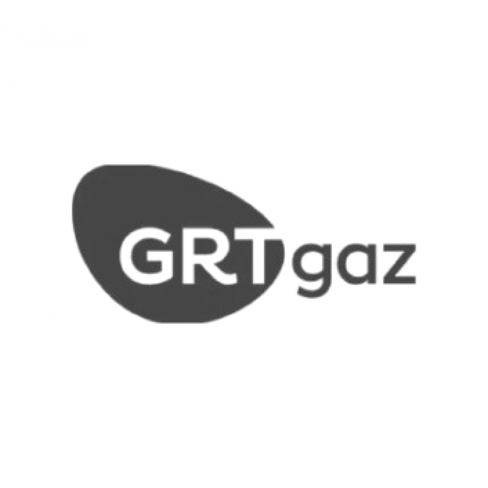 grtgaz-removebg-preview